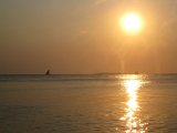   : Zanzibar 2011